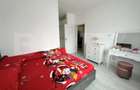 Apartament 2 camere, 74 mp, zona Calea Severinului - Promenada Mall - 10