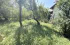 Casa interbelică cu arhitectură deosebită+Anexa și teren 1570 mp - 23