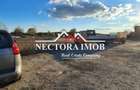 NECTORA IMOB-Teren Intravilan Cartier GRIGORESCU, 486 mp, Utilitati