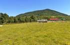 Teren intravilan 700 mp, ?ieu-Magherus, la 15 km de Bistrita