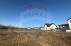 Teren Construcții intravilan de 3300 mp, în Odăi - 18