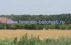 Vila Balotesti, padure,'la rosu',bransata la utilitati 99000 euro - 4