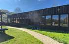 Complex Turistic Valea Doftanei - 4