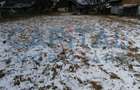 Casă individuală cu 2 camere cu Canalizare în Sud-Vest - 8