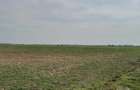 Vanzare Teren intravilan 5000mp Magurele - 2