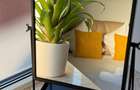 Rooftop-Penthouse-ultracentral-lift-proprietate unica-460+mp - 4