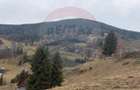Teren de vanzare in inima Apusenilor 6.500 mp Arieseni - 12
