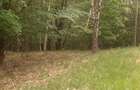 Terem de vanzare Setea Potoc 13.000 m2 - 2