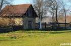 Vand casa cu anexe si teren 3008 mp, in centrul loc. Risculita, com. Baia de Cris, jud. Hunedoara - 10
