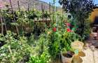 Casă individuală cu 3 camere cu Canalizare în Dâmbul Rotund - 13