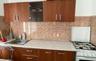 VAND CASA SAT LASTUNI - 9