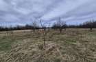 Teren Construcții de 18000 mp, în Urleta - 22