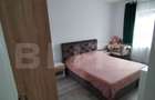 Apartament 2 camere Lunca Cetatuii - 9
