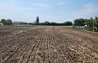 Teren Construcții intravilan de 7612 mp, în Central - 5