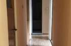 Apartament cu 3 camere decomandat în Dristor - 9