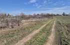 Trestieni - Ulmi, vanzare teren 1.663mp, intravilan - 16