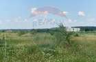 Teren intravilan de 600 mp, în Sisești - 30
