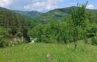 Teren 4000 mp cu utilitati ideal cabane / investitie Muntii Buzaului (Lopatari) - 5