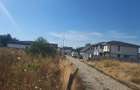 TERENURI DE INCHIRIAT zona Berceni / Vidra Ilfov - 5
