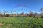 De vânzare  Teren intravilan, Merișor - 1