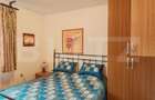 2 Proprietati, 320 mp utili, in centrul Turzii - 17