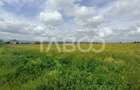 Teren agricol extravilan de 5000 mp, în Șura Mică - 3