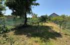 Casă individuală cu 3 camere cu Garaj în Miercurea Sibiului - 15
