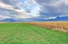 Teren agricol extravilan de 8400 mp, în Tărlungeni - 1