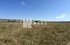 Teren agricol extravilan de 4200 mp, în Nord-Vest - 2