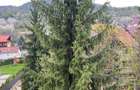 Inchiriez Apartament Baia Mare, Str. Victor Babes - 7