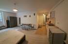 Apartament 1 camera str Clinicilor