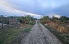 teren Cornetu Ilfov, strada Fagului - 3