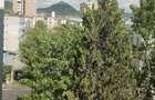 Ap.2 cam.decomandat. 39.000 euro minerului. - 2