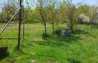 Casă cu 3 camere în Miceștii de Câmpie - 1