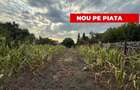 Casă individuală cu 3 camere cu Canalizare în Mehala - 1