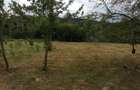 Teren de 20000 mp, în Ciucea - 1