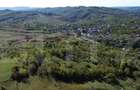 Teren extravilan de 41631 mp, în Central - 9