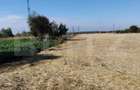 Teren Isalnita intravilan, 2500 mp, toate utilitatile - 1
