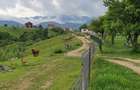 teren extravilan sat pestera jud brasov - 3