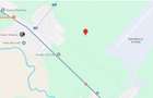 Teren extravilan de 5500 mp, în Manasia - 4
