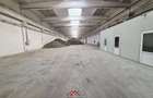 Hale noi in Baicoi, Ph--13.000mp--3e - 5