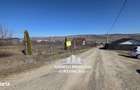 Teren intravilan 600 mp + PROIECT, VASLUI - zona FILATURII, str. Aurel - 5
