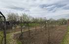 Casă cu 4 camere cu Teren 1500 Mp în Dârvari - 5