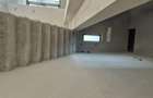 Duplex in centrul Comunei Sacalaz P+E+Pod, 4 camere - 10