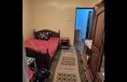 Apartament 2 camere Etj.4 (acoperis) - 4