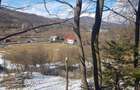Teren Construcții intravilan de 10200 mp, în Valea Doftanei - 4