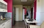 Apartament cu 2 camere, etaj 3 - zona Lipovei - 10