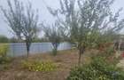 CASA P+M , 150 mp, TEREN 3000 MP ,FILIASI( FRATOSTITA) , COM - 7