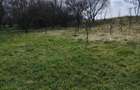 Se vinde casa cu anexe in Valea Calda - 4