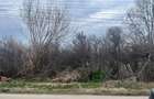 Teren de 3000 mp, în Calopăr - 1